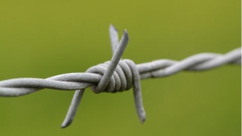 Noodzaak van risicomanagement