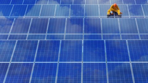 Albert Heijn bedekt distributiecentrum met zonnepanelen