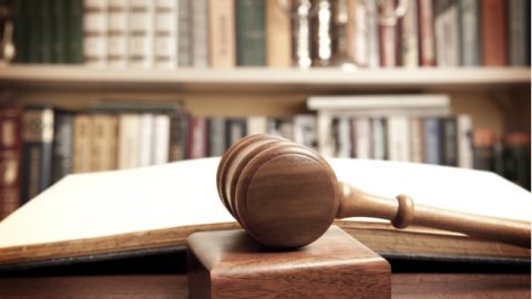 TLN neemt advocaten in dienst