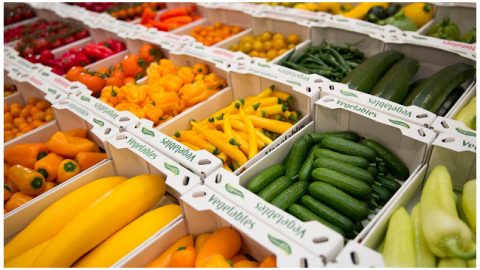 De Hoogsteder Groep betrekt nieuw distributiecentrum in Bleiswijk