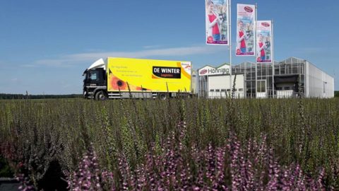 De Winter Logistics neemt branchegenoot over