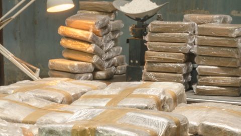 ‘Directeur Van Wanrooy Transport zat om de tafel met beruchte drugsbende’