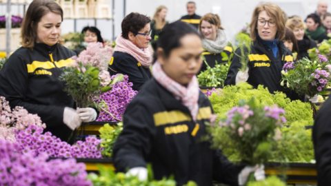 Jumbo verhuist logistiek voor bloemen