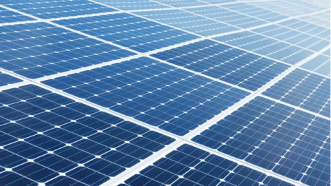 Zeeman legt extra zonnepanelen op distributiecentrum