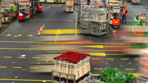 FloraHolland stapt over op uniform logistiek systeem