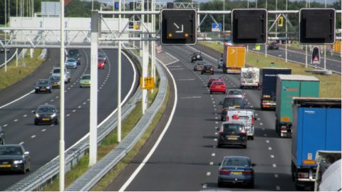 TLN: ‘Maatregelen stikstofprobleem onvoldoende’