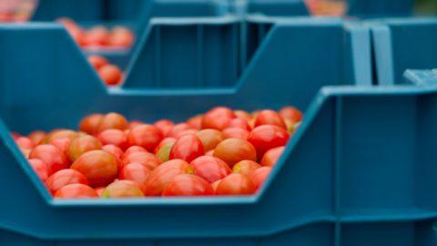 Consortium wil voedselverspilling in vers-logistiek met IoT bestrijden