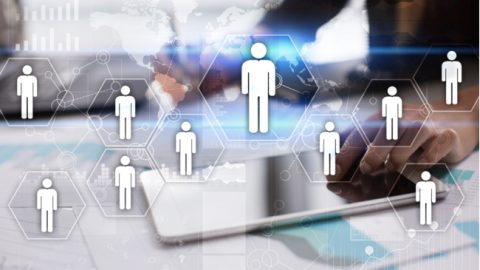 BLMC stopt met supply chain recruitment, zet in op consultancy