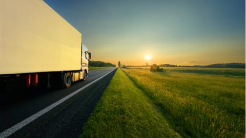 ACM onderzoekt overname sierteeltvervoerders door FloraHolland