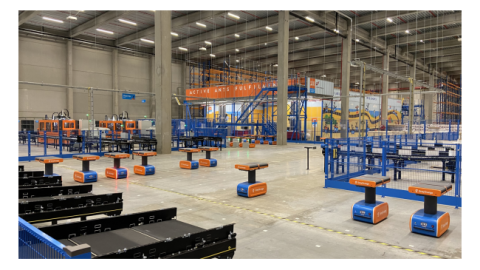 Active Ants opent eerste Belgische vestiging